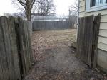 2 Backyard.jpg