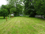 3. Backyard.JPG