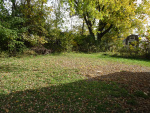 2 Backyard.JPG
