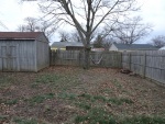 6 Backyard.JPG