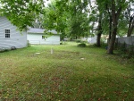 3 Backyard 1.JPG