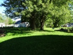 3 Backyard.JPG