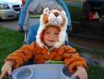 25 Pet Tiger (comes with house).JPG