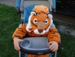 24 Pet Tiger (comes with house).JPG