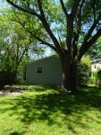 2 Backyard.JPG